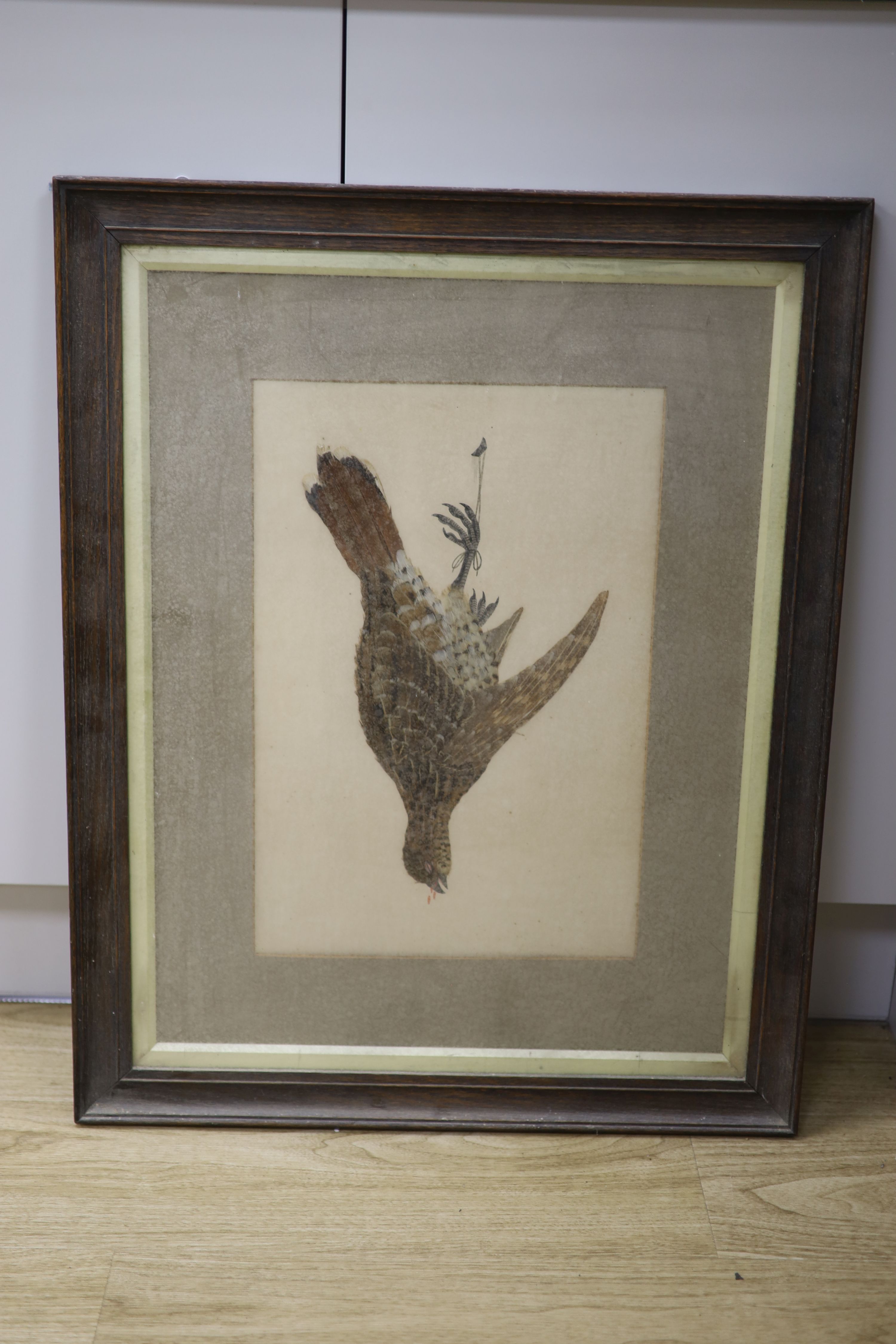 An Edwardian featherwork and watercolour study of a hanging partridge, 45 x 30cm